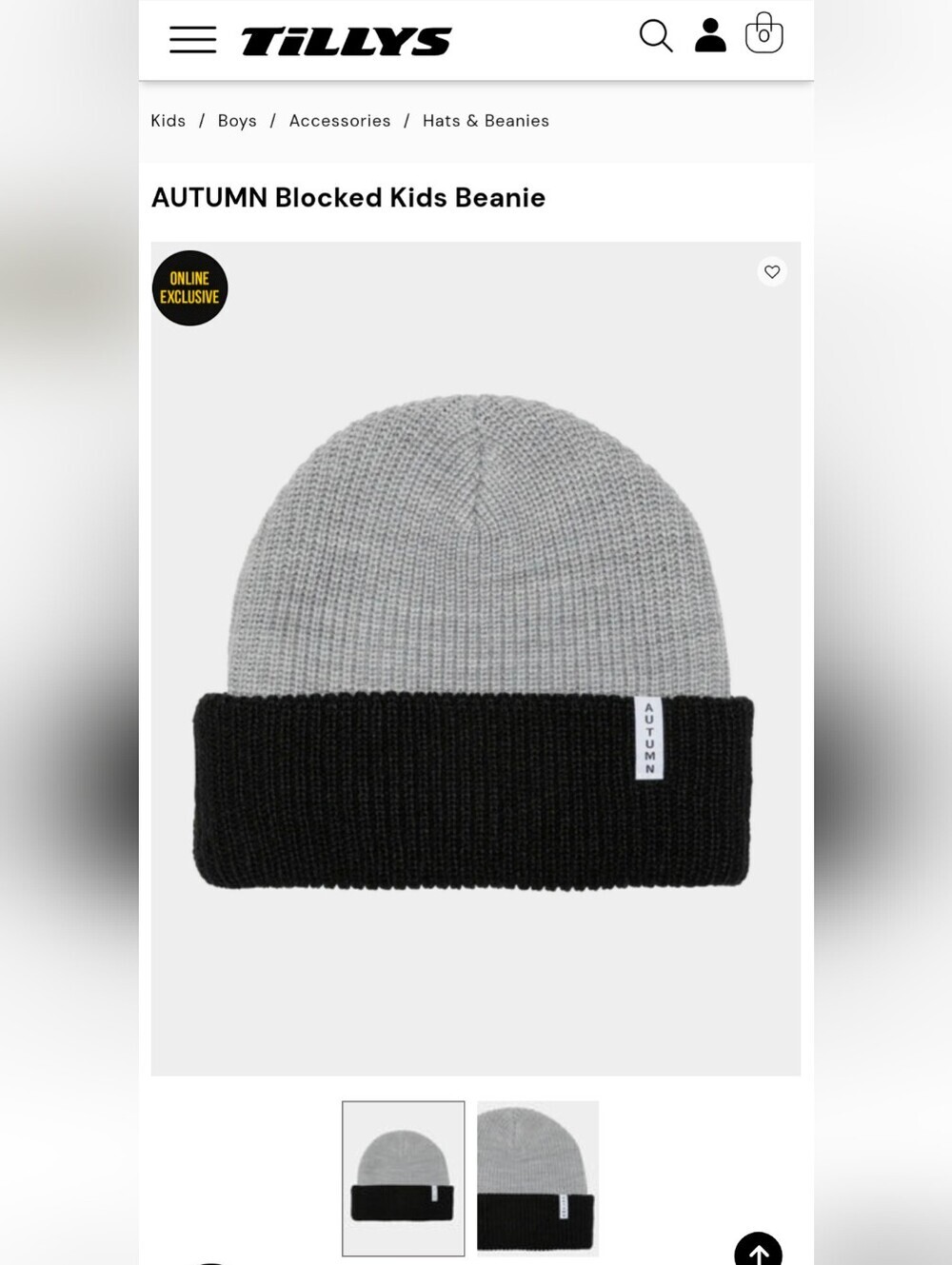 Autumn Cashmere Kids Two-Tone Beanie in Gray and Black Nwot